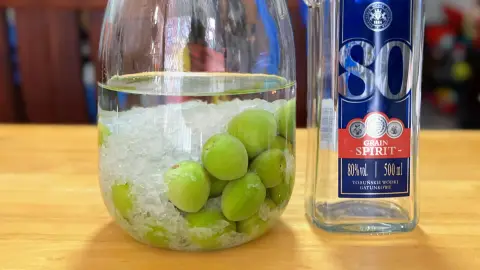 自己的梅酒自己釀:超簡單自釀梅酒攻略